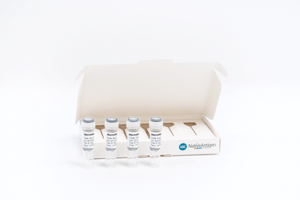 The Native Antigen Company Expands Range of Norovirus-Like Particles