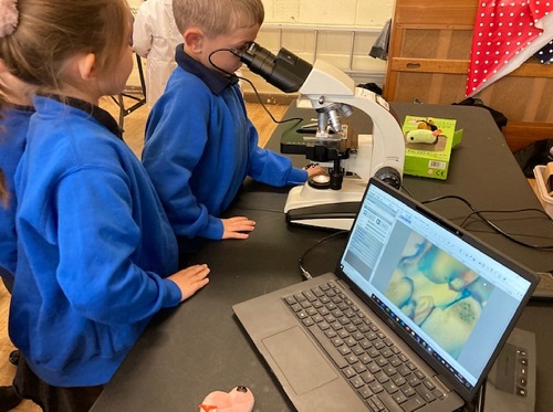 Children at Paddocks Primary School, looking through a microscope