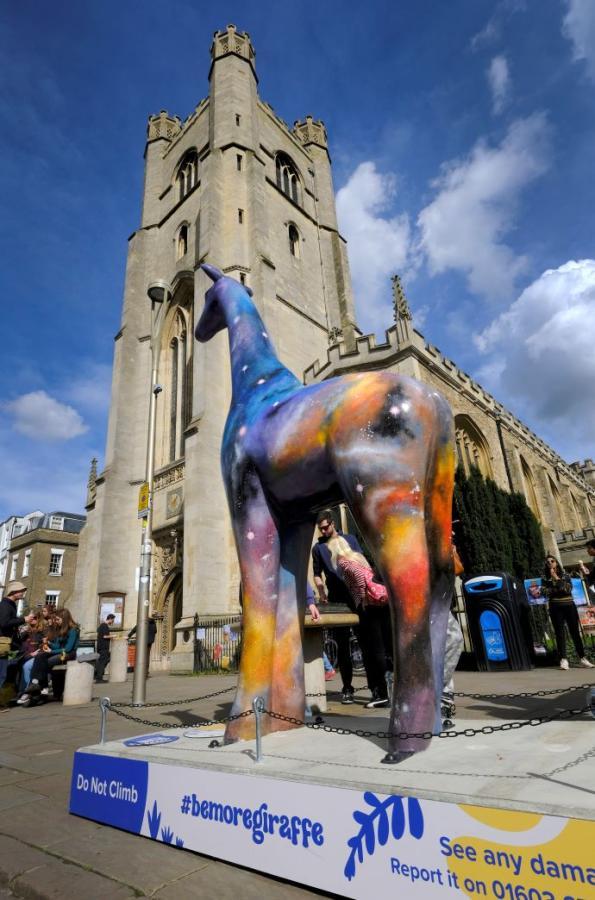 giraffe with a church in the background  