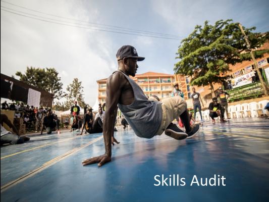 breakdancer_ skills audit