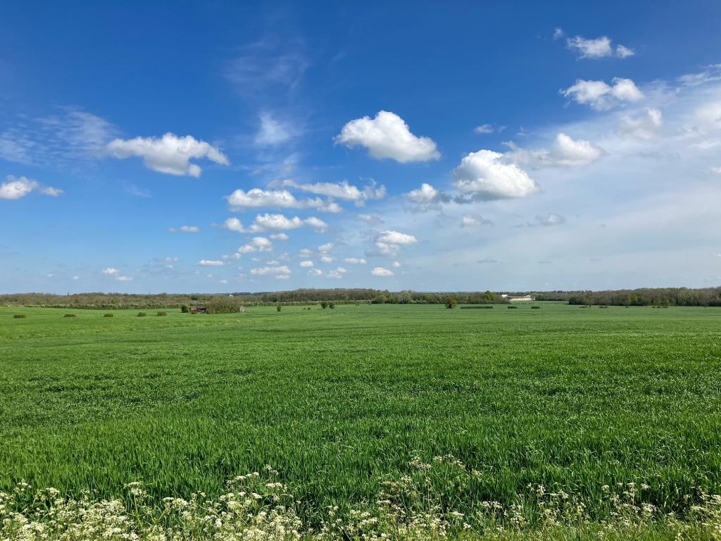 Sunshine over a countryside view