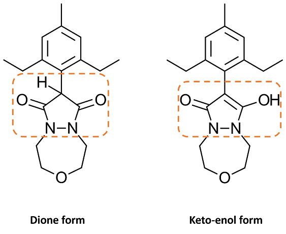 2D representation of the dione and keto-enol forms of Pinoxaden