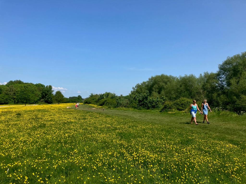 An English hillside in summer sunshine