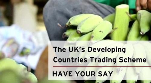 Bananas in background: The UK's developing country scheme - have your say