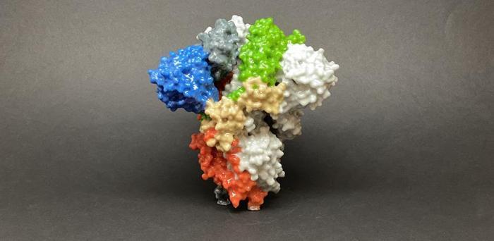   3D print of Spike protein  Credit: NIAID