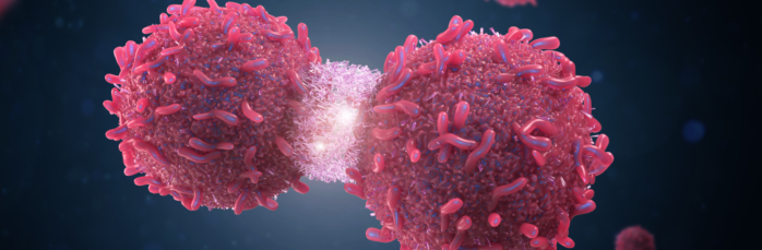 cancer cells_Image credit: AdobeStock