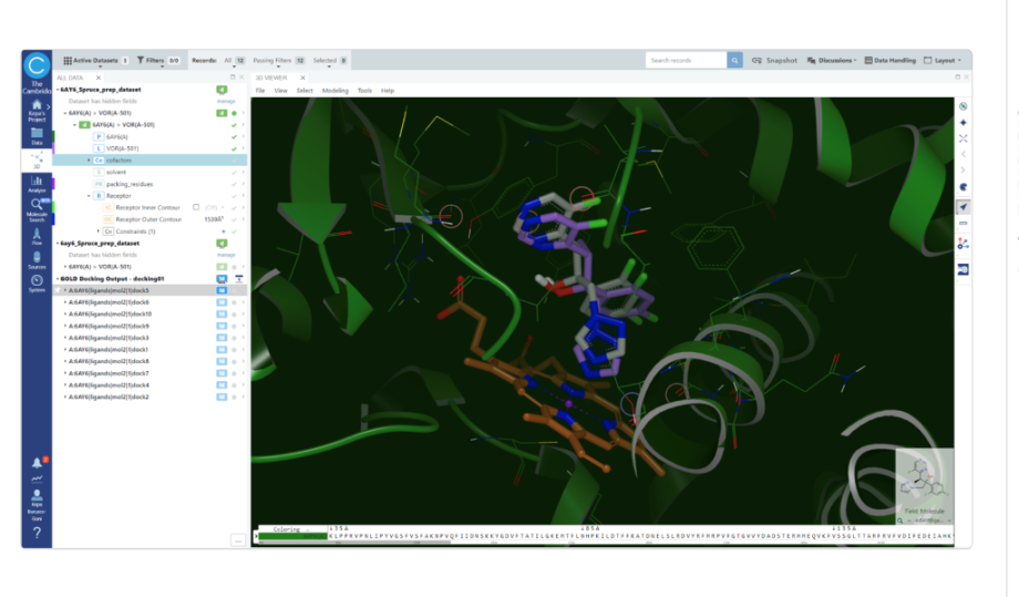 Seamless Protein–Ligand Docking Workflows for Computational and Medicinal Chemists