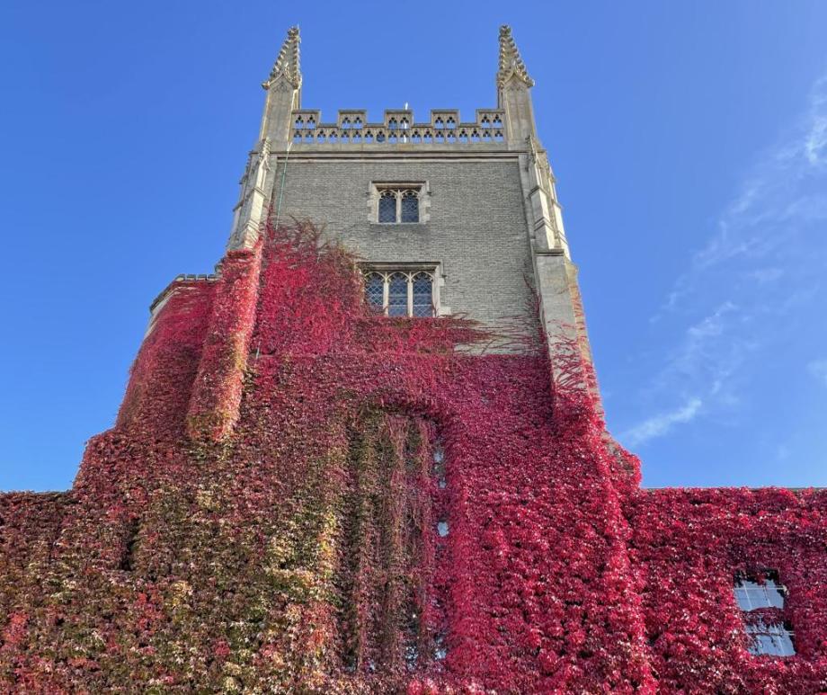 Pitt Building covered in red ivy