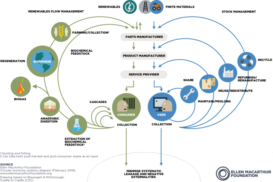 Butterfly diagram from Ellen Mcarthur Foundation