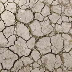 parched earth following drought