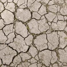 parched earth_drought