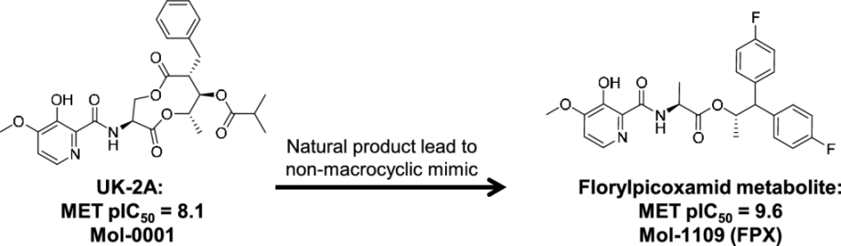 Development of a natural product lead into a non-macrocyclic mimic