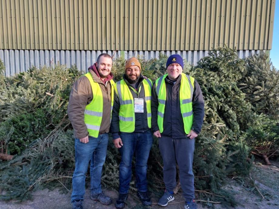 3 males standing near Christmas Trees 