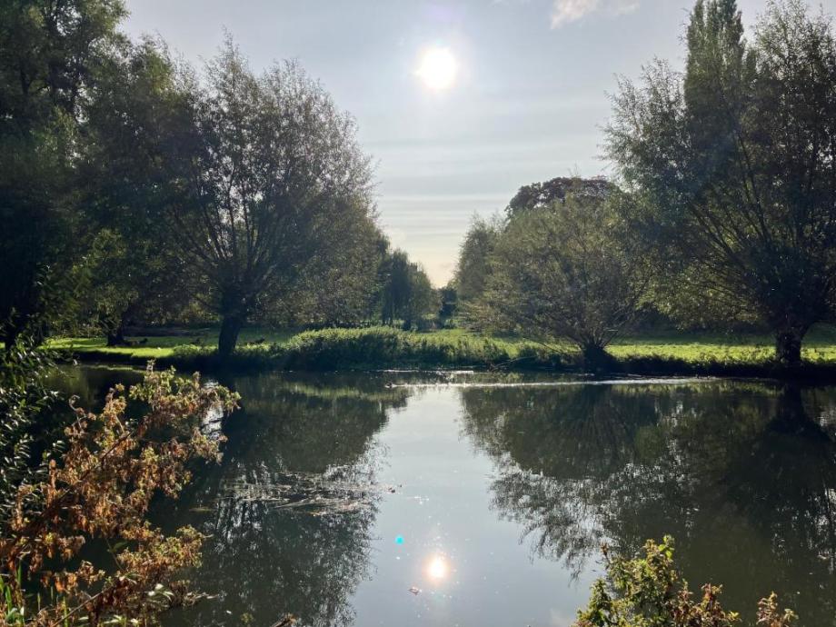 Grantchester Meadows, the river Cam in sunlight