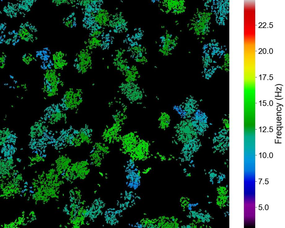 Heat map from CiliaBeat software  demonstrating distribution of actively beating ciliated cells with colour-coded beat frequency