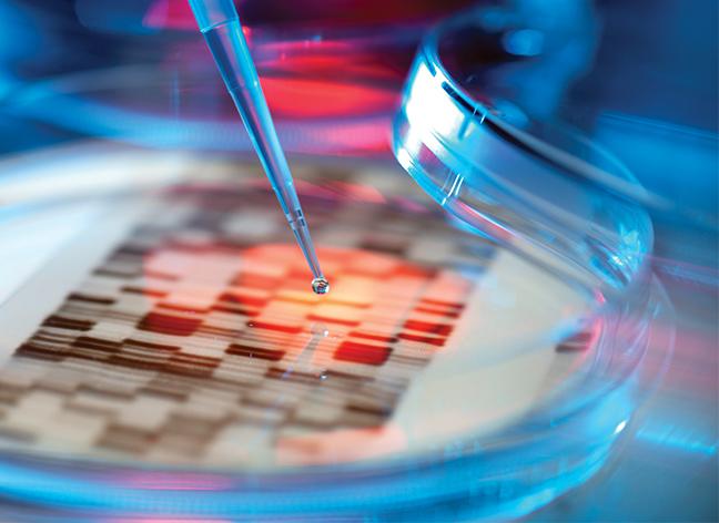 The Paradigm Shift: Navigating the emergence of value-based contracts for future gene therapies