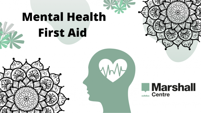 merntal health first aider banner