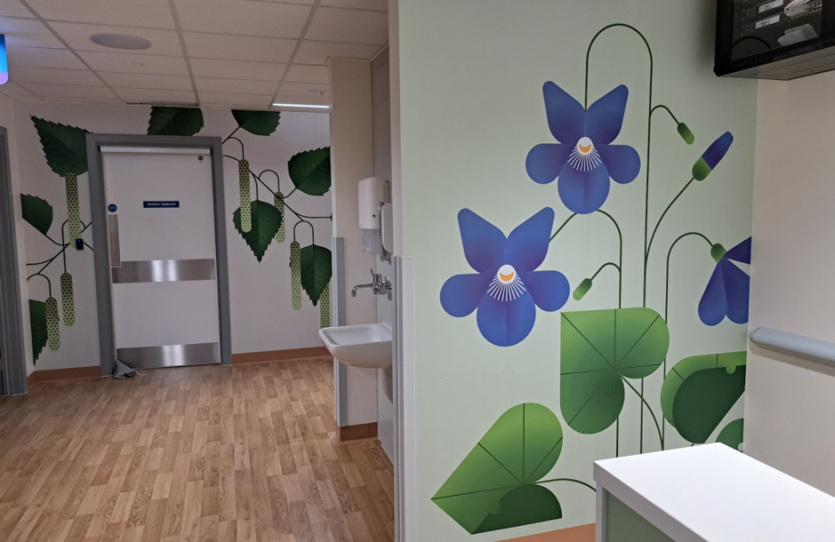 Kingston NHS Art and Creative Environment Design Project including Illustration