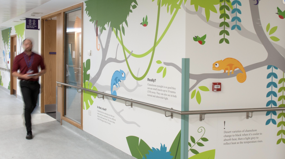 Sable&Hawkes deliver a complete NHS environment design service from creative theme to creative design, production, supplier and installation management.