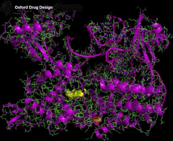 Oxford Drug Design proprietary protein image