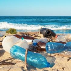 plastic pollution_ bottles on a beach