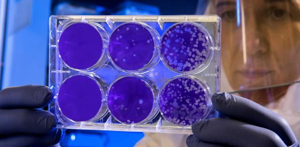 scientists looking at antibiotic resistance 