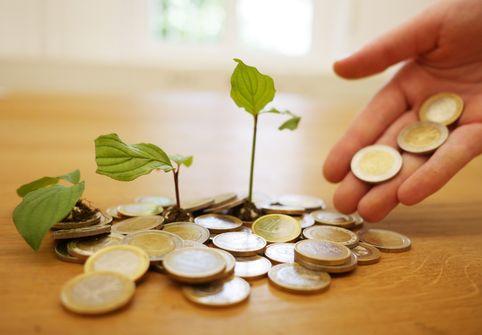 plants growing out of money 