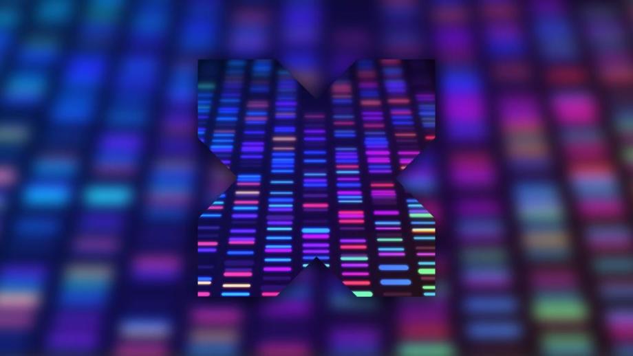 The outline of an X is visible against a neon visualisation of DNA bars