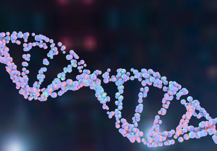 gene dna image 