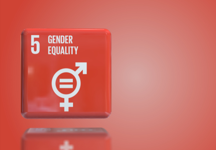 gender equality image 