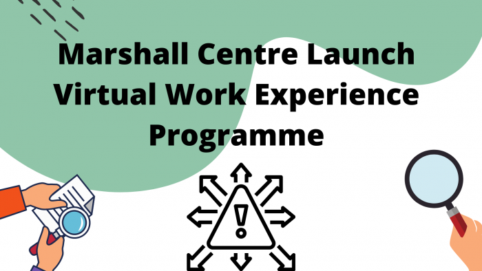 virtual work experience banner