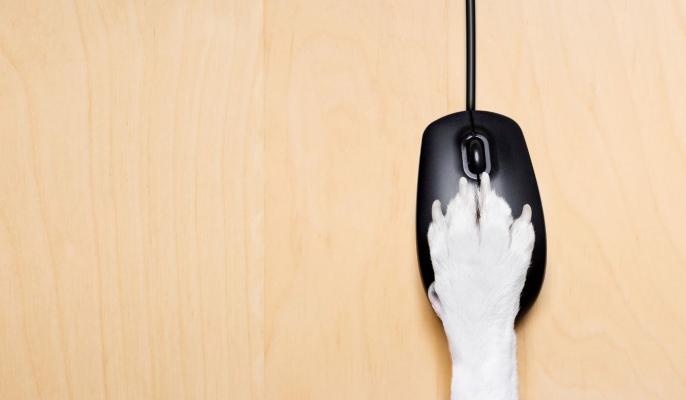 hand holding a computer mouse
