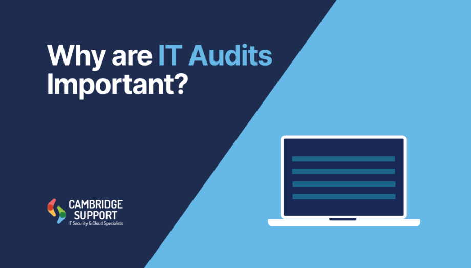 Why are IT Audits Important?