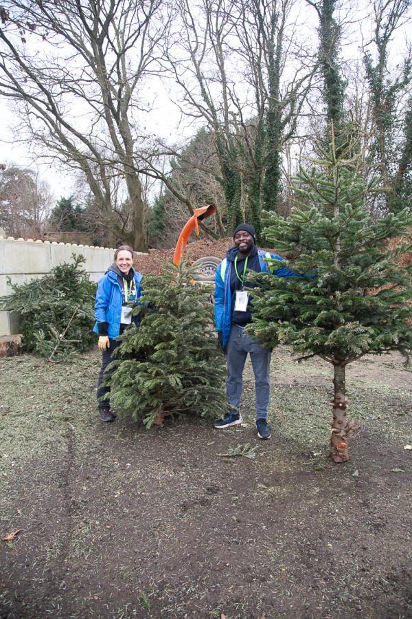 Male and female standing with Christmas Trees 