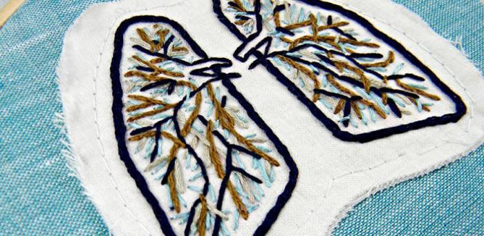   Blue and Brown Anatomical Lung Wall Decor  Credit: Hey Paul Studios