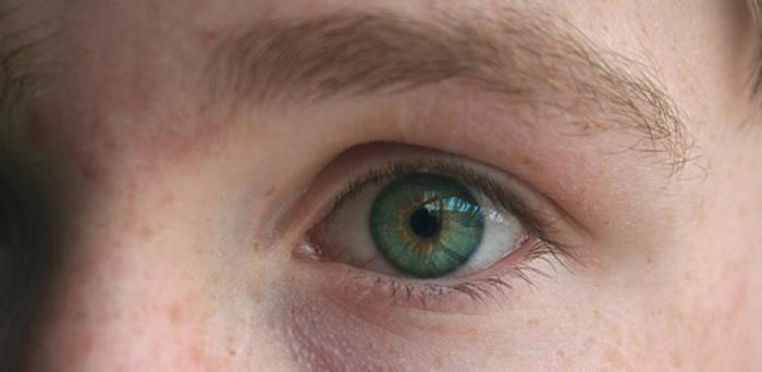  A young man's eye.  Credit: Phoenix Thomas via Pixabay