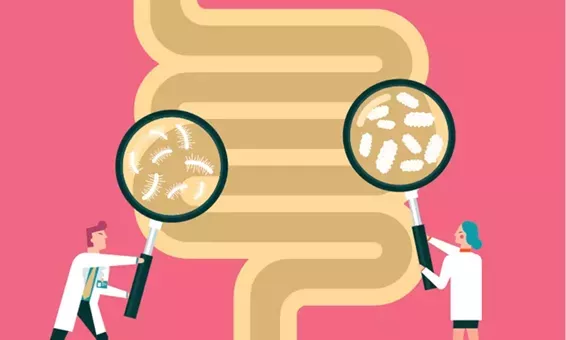 Image featuring intestines with people with big magnifying glasses showing what lives in your gut