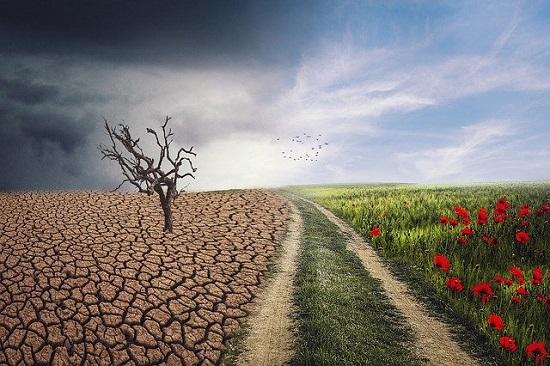 climate change - drought on one side, lush green land on the other :Image by enriquelopezgarre from Pixabay