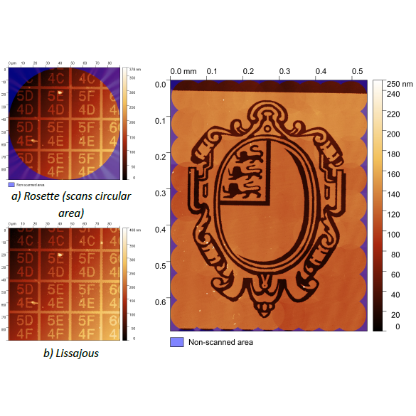 Large area scans made using high-speed atomic force microscopy.