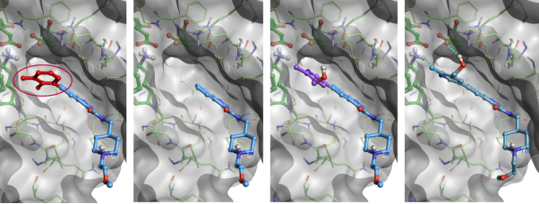 The new docking feature enables Spark users to find fragments picking ligand-protein interactions directly from the protein active site.