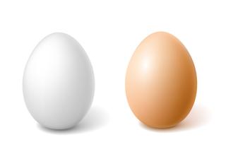  a white egg and a brown egg