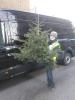 Volunteer assisting with last year’s Christmas Tree Recycling scheme, which raised over £54,000 for the Hospice’s vital frontline service