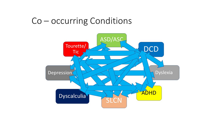 Co-occurring conditions graphic